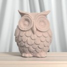 Echo The Owl thumbnail