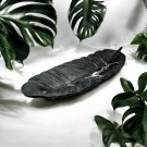 Petiole thumbnail