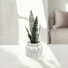 Mrs. Pot thumbnail