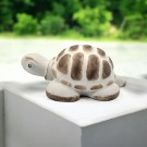 Turtle thumbnail