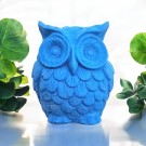 Echo The Owl thumbnail