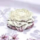 My Pink Peon thumbnail