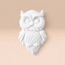 Gaze Magnet thumbnail