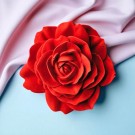 Eternal Rose thumbnail