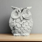 Echo The Owl thumbnail