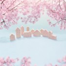 Town Of Pink thumbnail