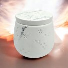 Stardust thumbnail