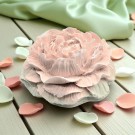 Eternal Petal thumbnail
