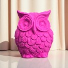 Echo The Owl thumbnail
