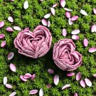 Rose d'Amour thumbnail