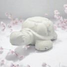 Marble Turtle thumbnail