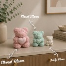 Teddy Bloom thumbnail