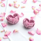 Rose d'Amour thumbnail