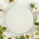 Silk Mist thumbnail
