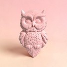 Gaze Magnet thumbnail