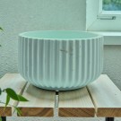 Eucalyptus Curve thumbnail