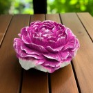 Eternal Petal thumbnail
