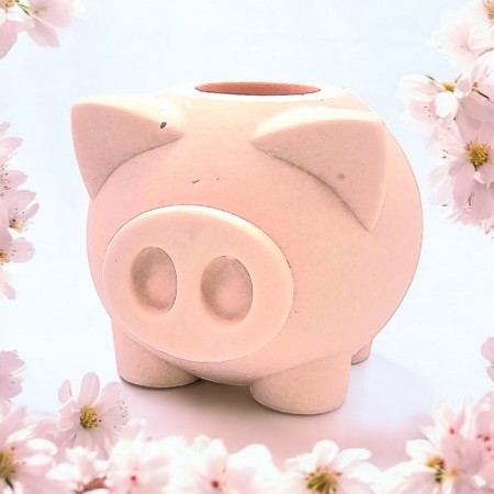 Pinky Piggy