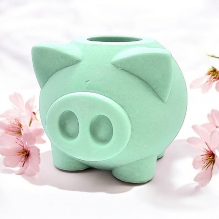Mintu Piggy