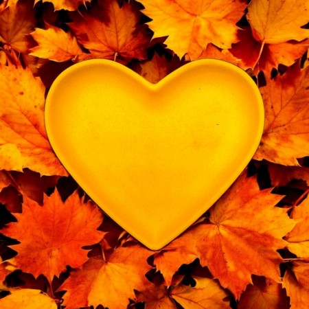 My Autumn Heart