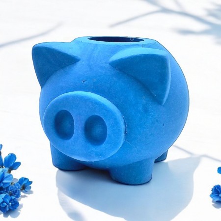 Blueberry Piggy
