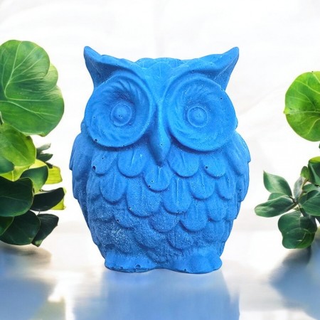 Blueberry Owl