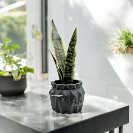 Mr. Pot