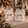 Advent Moments - Julekalender 2026